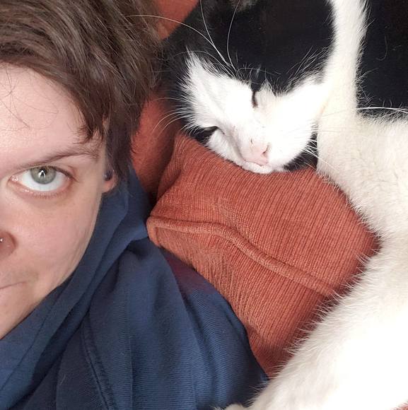 catsparrow